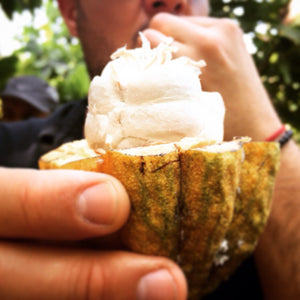 The Truth About Real Chocolate: How Nibble Is Shaping the Conversation